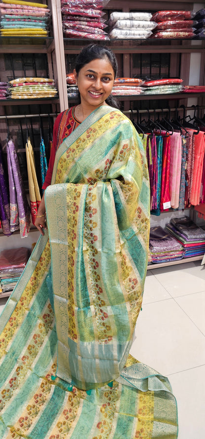 MULTI COLOUR TISSUE ORGANZA SAREE